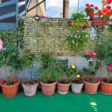 Palazzo Di Donna Panoramic Terraces And Private Parking Strategic To Amalfi Coast, Pompei, Napoli Holiday home